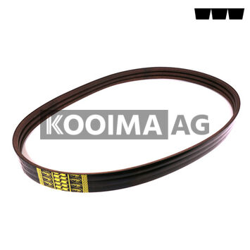 K4950080 Power Belt